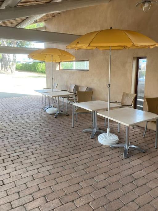 Studio « Saint-Petersbourg » A Avignon Eksteriør billede
